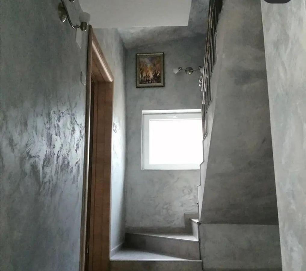 Vila Lux Nedeljkovic Gornja Trepca Čačak Exterior foto